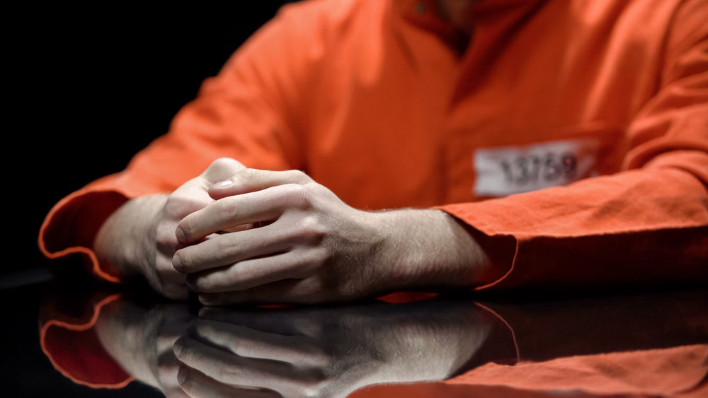 Alpha & Omega Background Screening Services, GA, FL, IL